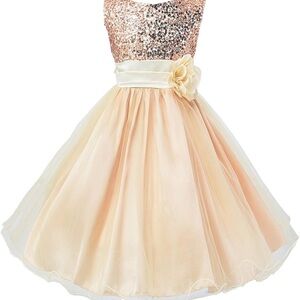 Elegant Sequin Peach Kids Dress